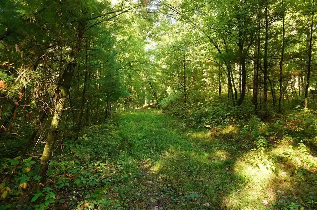 Photo 3 of Land for sale at N9105 Flood Lot 5 Rd, Black River Falls, WI 54615 | MLS# 1605206 | Listing updated on 2026-09-17