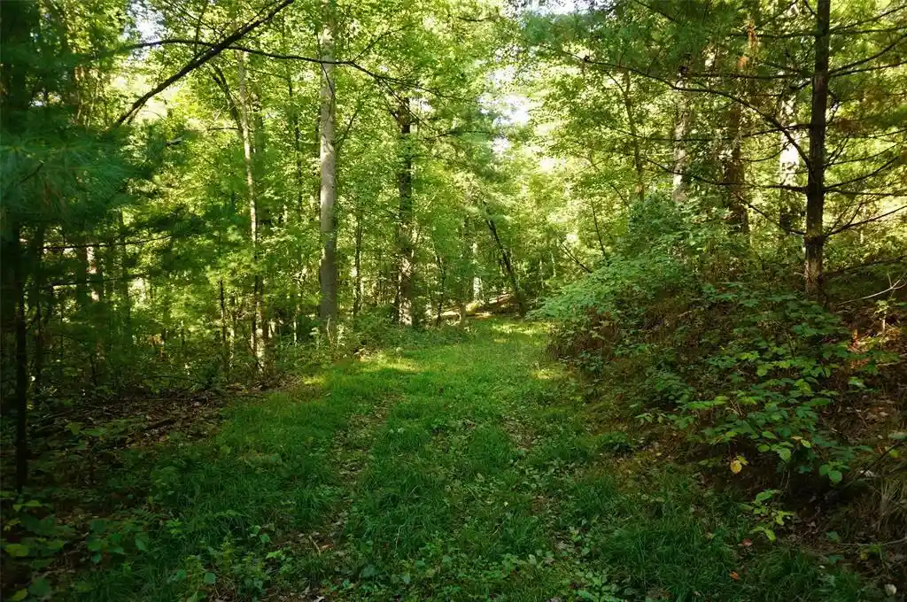 Photo 3 of Land for sale at N9105 Flood Lot 5 Rd, Black River Falls, WI 54615 | MLS# 1605206 | Listing updated on 2026-09-17