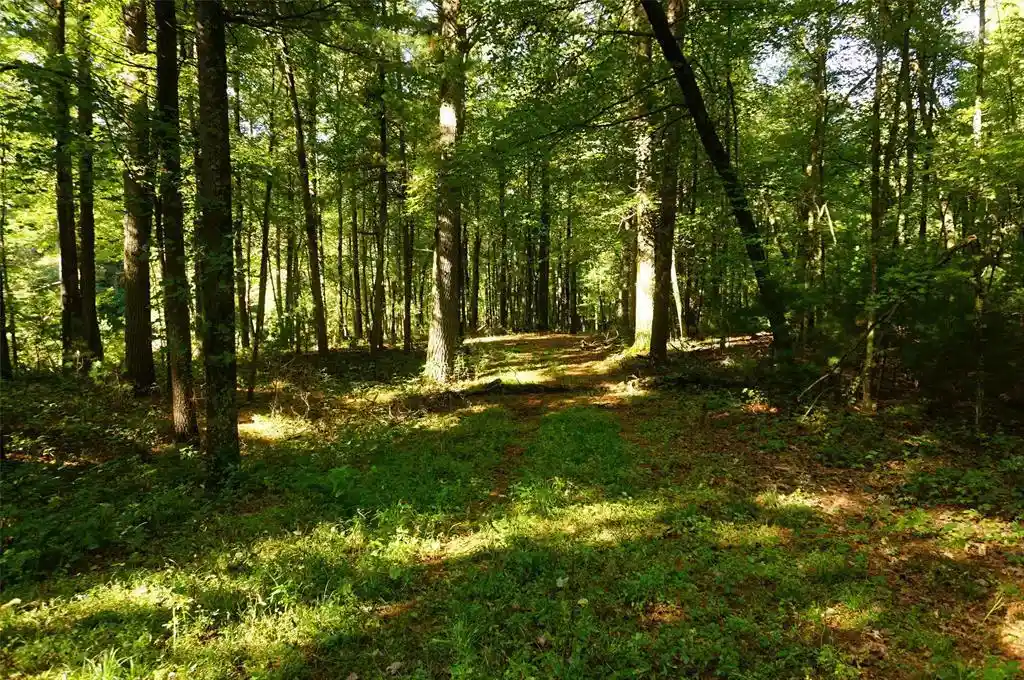 Photo 4 of Land for sale at N9105 Flood Lot 5 Rd, Black River Falls, WI 54615 | MLS# 1605206 | Listing updated on 2026-09-17