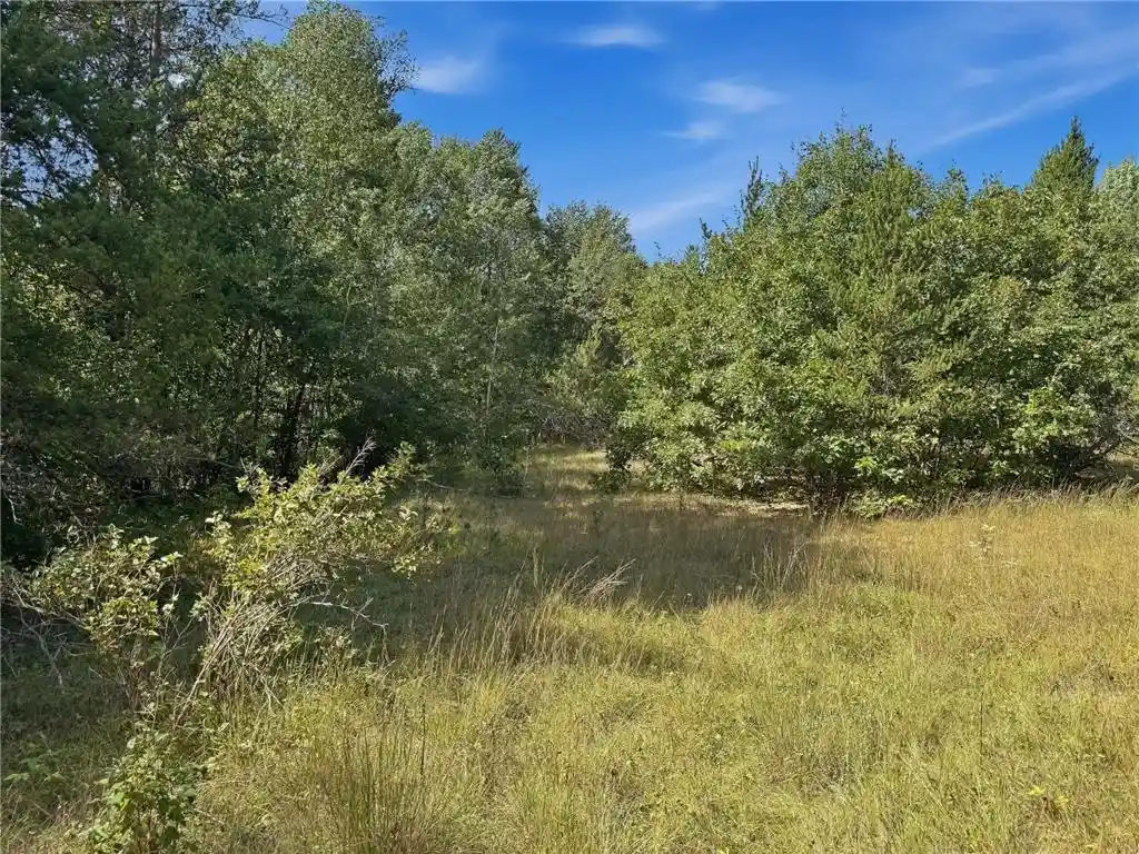 Photo 3 of Land for sale at E5626 1170th Avenue, Wheeler, WI 54772 | MLS# 7145977 | Listing updated on 2026-09-17