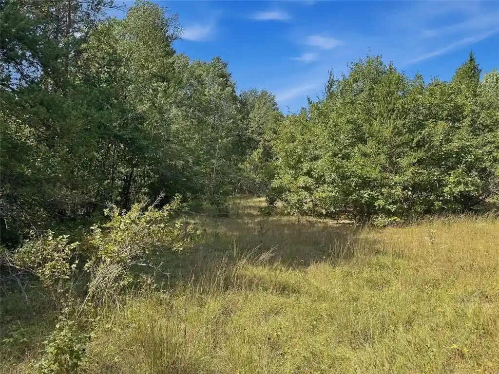 Photo 3 of Land for sale at N5626 1170th Avenue, Wheeler, WI 54772 | MLS# 1605207 | Listing updated on 2026-09-17