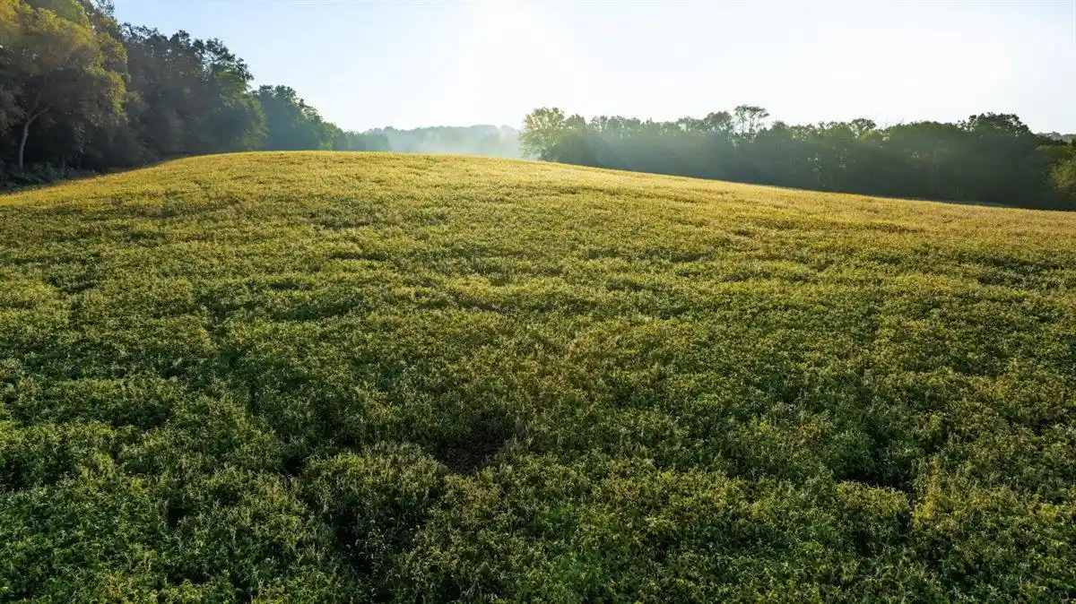 Photo 4 of Land for sale at 4564+/- Acres Hwy G, Hillpoint, WI 53937 | MLS# 2032897 | Listing updated on 2026-09-17