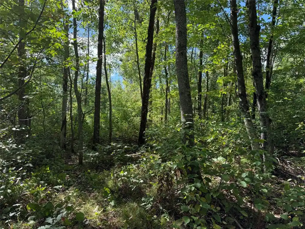 Photo 1 of Land for sale at 0 Shell Crk Rd, Minong, WI 54859 | MLS# 1605108 | Listing updated on 2026-09-17