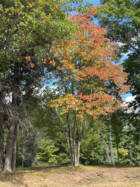 Photo 3 of Land for sale at 0 Shell Crk Rd, Minong, WI 54859 | MLS# 1605108 | Listing updated on 2026-09-17
