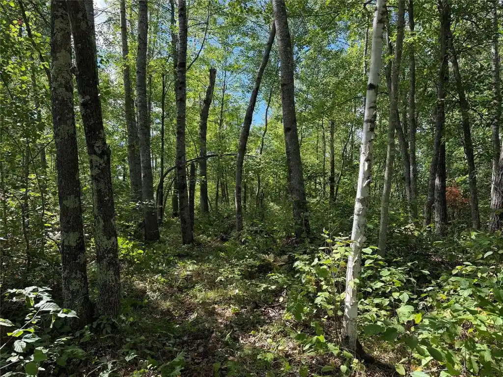 Photo 3 of Land for sale at 0 Shell Crk Rd, Minong, WI 54859 | MLS# 1605108 | Listing updated on 2026-09-17