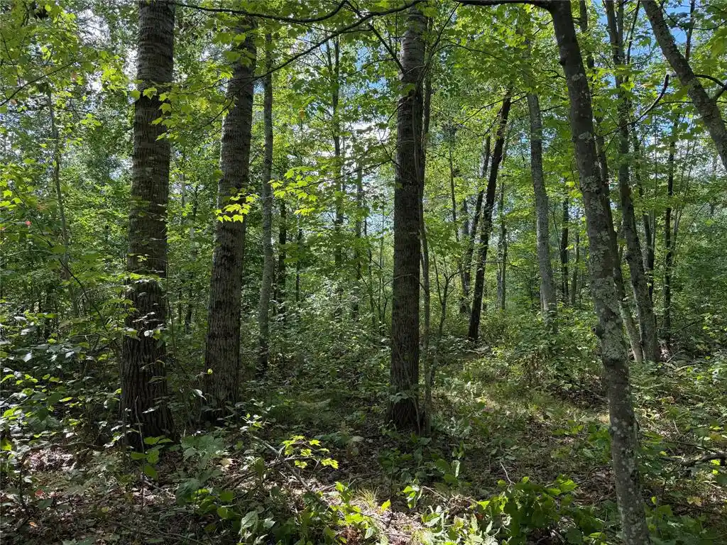 Photo 4 of Land for sale at 0 Shell Crk Rd, Minong, WI 54859 | MLS# 1605108 | Listing updated on 2026-09-17