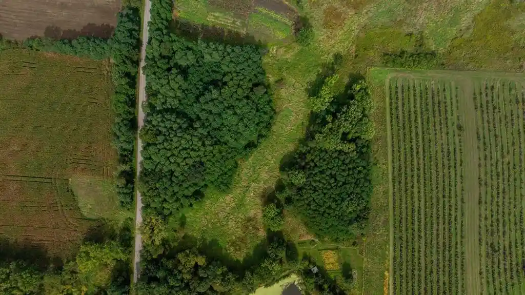 Photo 2 of Land for sale at 0 Finch Dr, Osseo, WI 54758 | MLS# 1605162 | Listing updated on 2026-09-17
