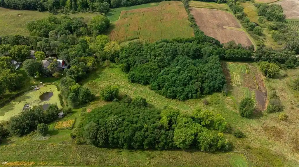 Photo 3 of Land for sale at 0 Finch Dr, Osseo, WI 54758 | MLS# 1605162 | Listing updated on 2026-09-17