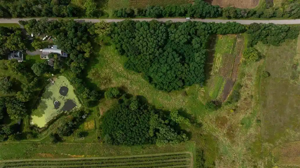 Photo 4 of Land for sale at 0 Finch Dr, Osseo, WI 54758 | MLS# 1605162 | Listing updated on 2026-09-17