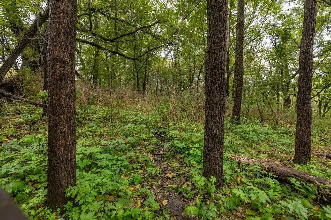 Photo 2 of Land for sale at Lot 1 Seas Branch Rd, Viroqua, WI 54665 | MLS# 1981084 | Listing updated on 2026-09-17