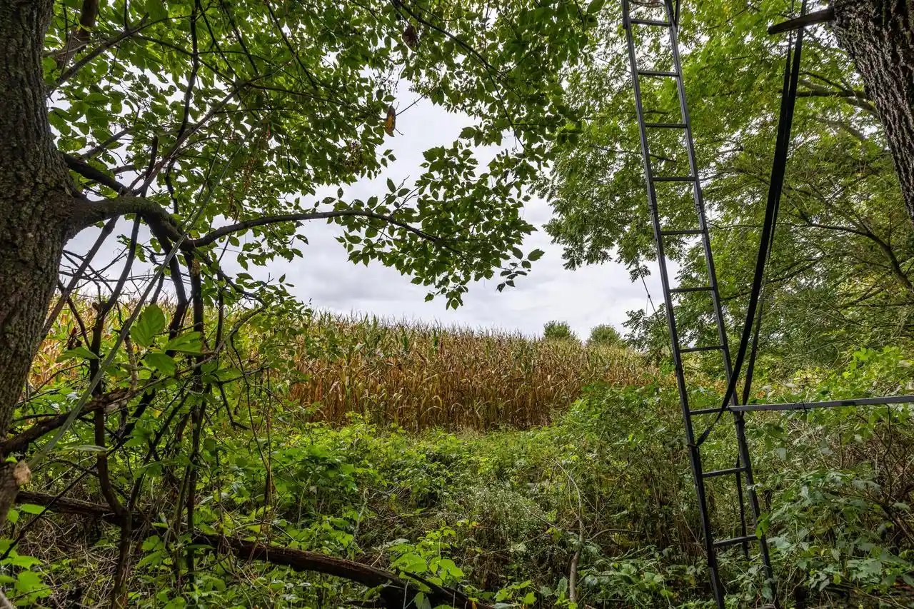 Photo 4 of Land for sale at Lot 1 Seas Branch Rd, Viroqua, WI 54665 | MLS# 1981084 | Listing updated on 2026-09-17