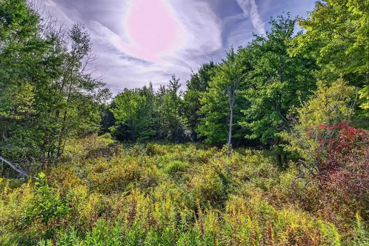 Photo 3 of Land for sale at 184 Acres Zubella Rd, Rudolph, WI 54475 | MLS# 22604629 | Listing updated on 2026-09-23