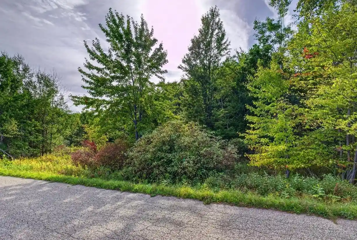 Photo 4 of Land for sale at 184 Acres Zubella Rd, Rudolph, WI 54475 | MLS# 22604629 | Listing updated on 2026-09-23