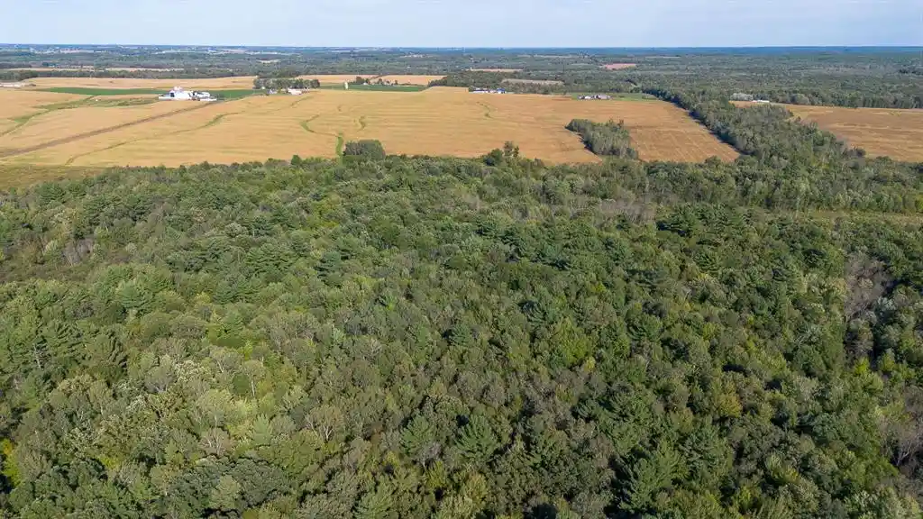 Photo 4 of Land for sale at 2300 Blk 350th St, Stanley, WI 54768 | MLS# 1605222 | Listing updated on 2026-09-29
