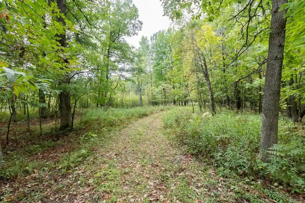 Photo 1 of Land for sale at 20 Acres 153rd Ave, Balsam Lake, WI 54810 | MLS# 1605253 | Listing updated on 2026-09-18