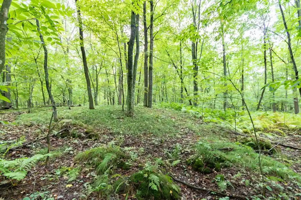 Photo 2 of Land for sale at 20 Acres 153rd Ave, Balsam Lake, WI 54810 | MLS# 1605253 | Listing updated on 2026-09-18