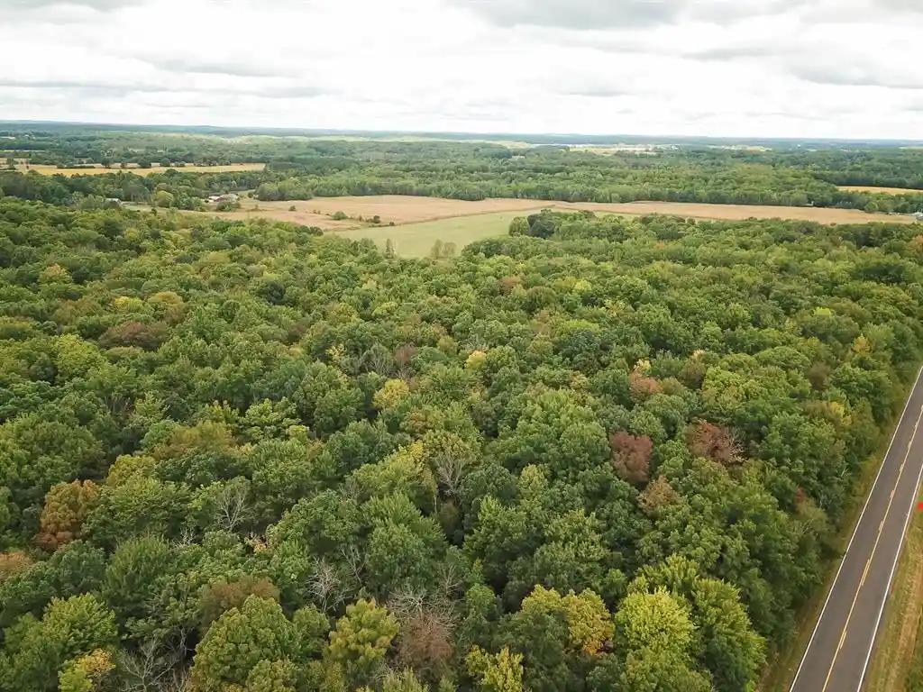 Photo 3 of Land for sale at 20 Acres 153rd Ave, Balsam Lake, WI 54810 | MLS# 1605253 | Listing updated on 2026-09-18