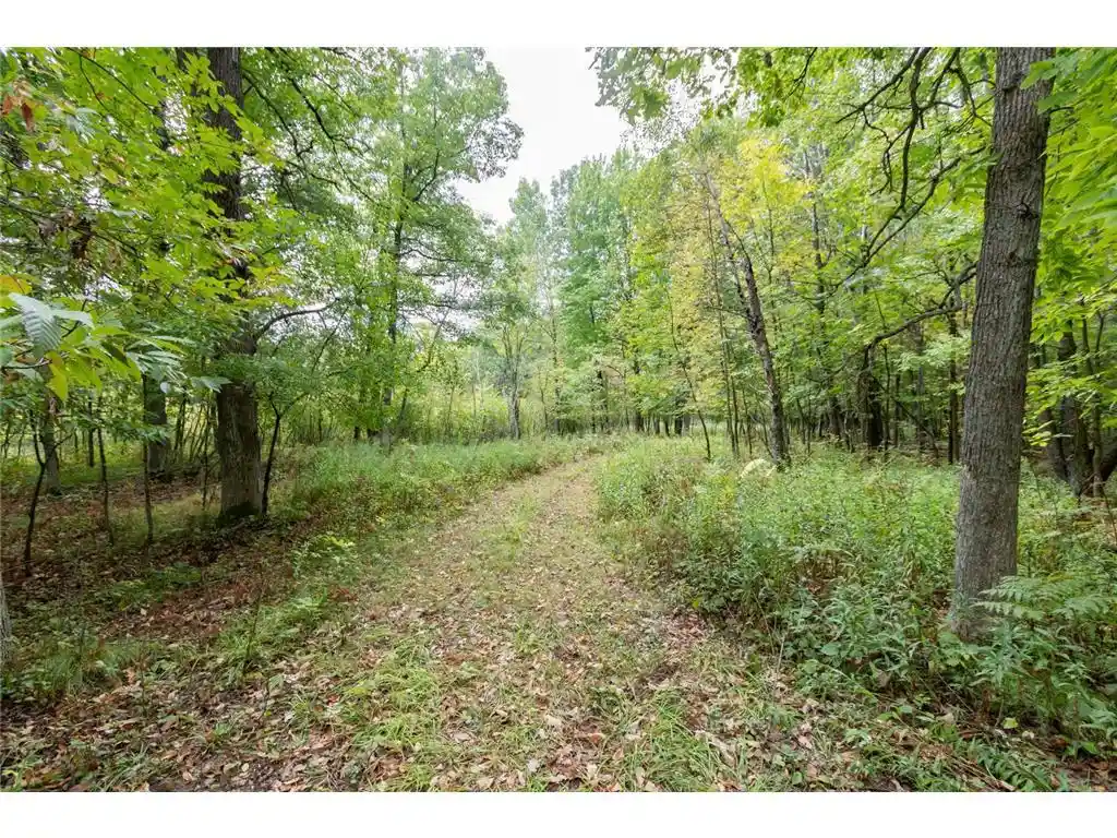 Photo 1 of Sale Pending at 20 Acres 153rd Ave, Balsam Lake, WI 54810 | MLS# 7146175 | Listing updated on 2026-09-28