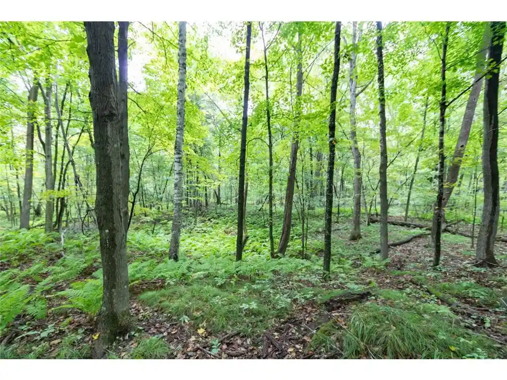 Photo 2 of Sale Pending at 20 Acres 153rd Ave, Balsam Lake, WI 54810 | MLS# 7146175 | Listing updated on 2026-09-28