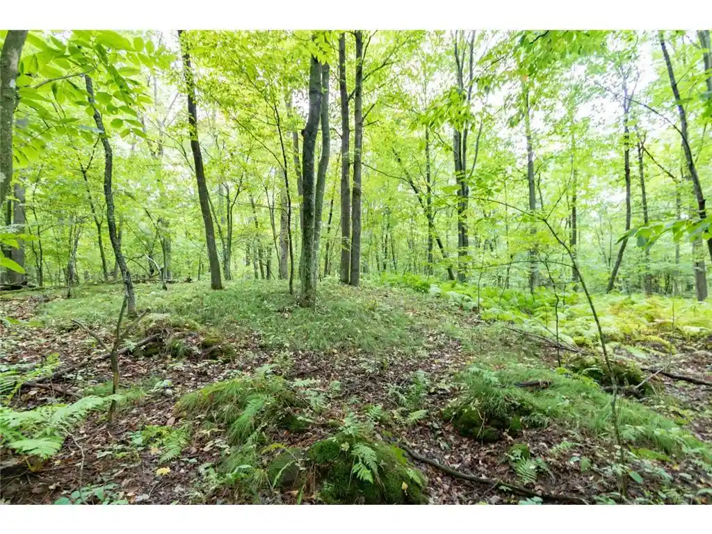 Photo 3 of Sale Pending at 20 Acres 153rd Ave, Balsam Lake, WI 54810 | MLS# 7146175 | Listing updated on 2026-09-28