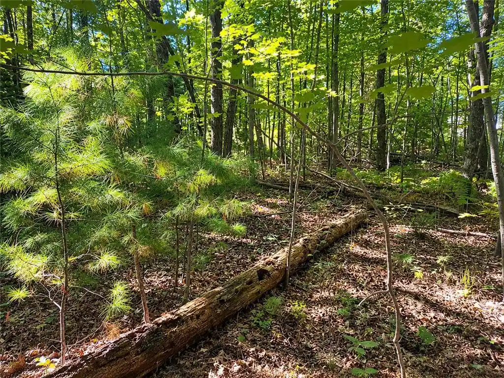 Photo 2 of Land for sale at Lot 1 & 2 Bluegill Ave, Webster, WI 54893 | MLS# 7145476 | Listing updated on 2026-09-17