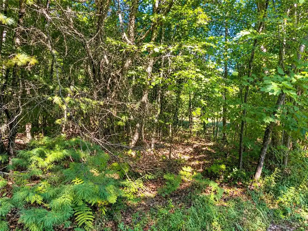 Photo 3 of Land for sale at Lot 1 & 2 Bluegill Ave, Webster, WI 54893 | MLS# 7145476 | Listing updated on 2026-09-17