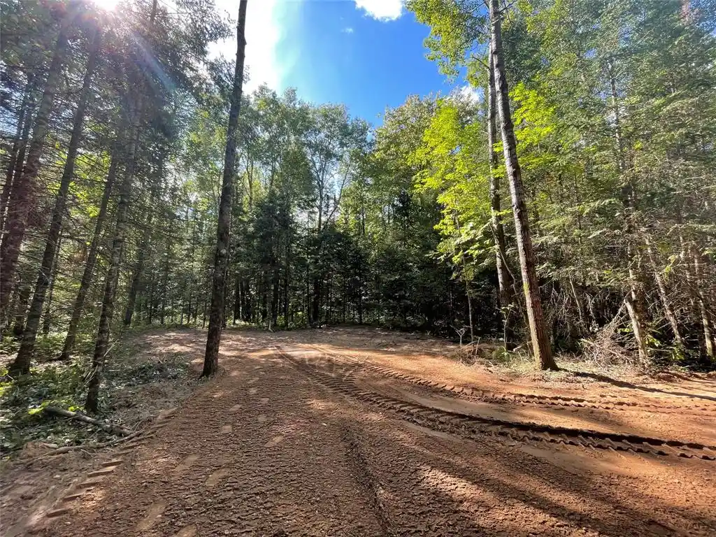 Photo 2 of Land for sale at Lot 2 Fadness Rd, Winter, WI 54896 | MLS# 1605242 | Listing updated on 2026-09-25