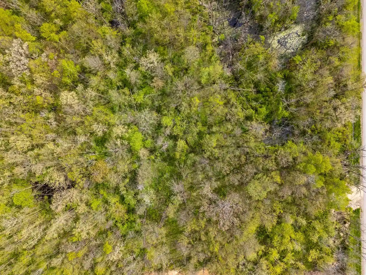 Photo 8 of Land for sale at Lt0 County Rd B, Belgium, WI 53004 | MLS# 1981169 | Listing updated on 2026-09-18