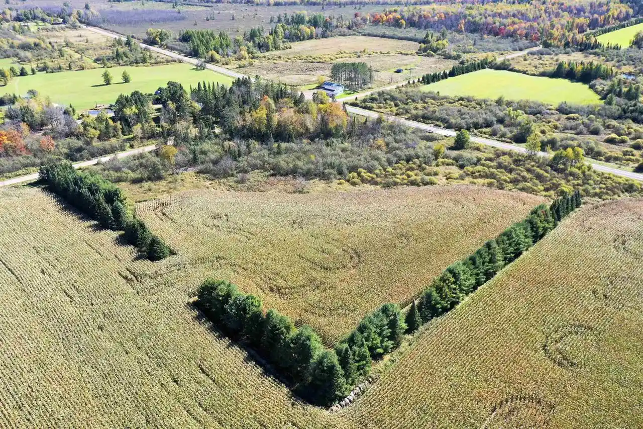 Photo 4 of Land for sale at N5239 Lemke Crk Rd, Rib Lake, WI 54470 | MLS# 22604642 | Listing updated on 2026-10-06