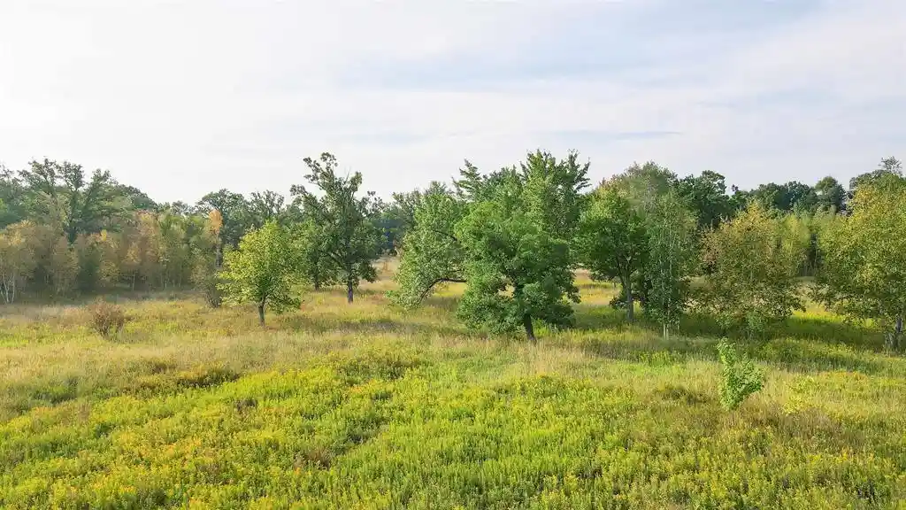 Photo 3 of Land for sale at 40 Acres County Rd Ii, Rudolph, WI 54475 | MLS# 22604643 | Listing updated on 2026-09-18