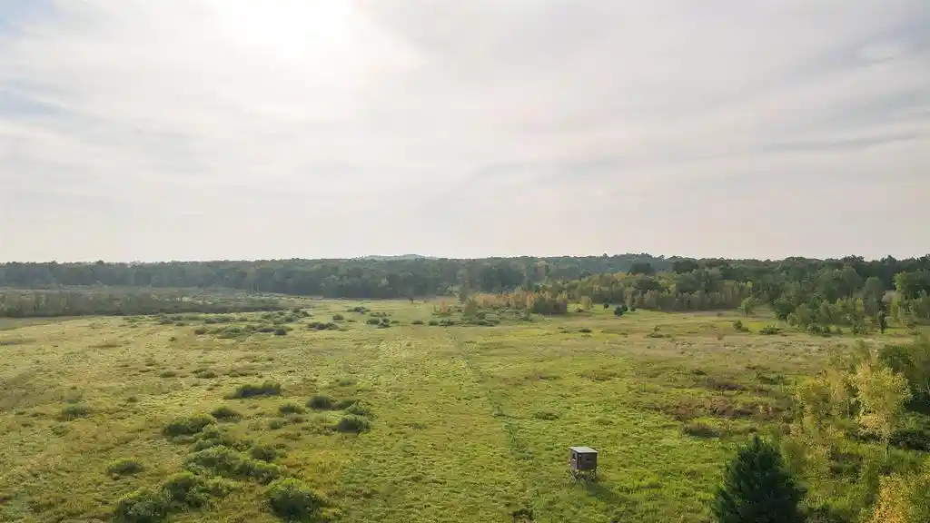 Photo 4 of Land for sale at 40 Acres County Rd Ii, Rudolph, WI 54475 | MLS# 22604643 | Listing updated on 2026-09-18