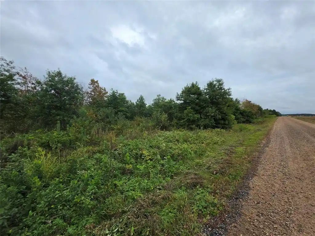 Photo 3 of Land for sale at Lot 6 370th Avenue, Elk Mound, WI 54739 | MLS# 1605278 | Listing updated on 2026-09-21