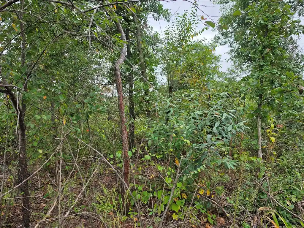 Photo 3 of Land for sale at Lot 6 370th Avenue, Elk Mound, WI 54739 | MLS# 1605278 | Listing updated on 2026-09-21