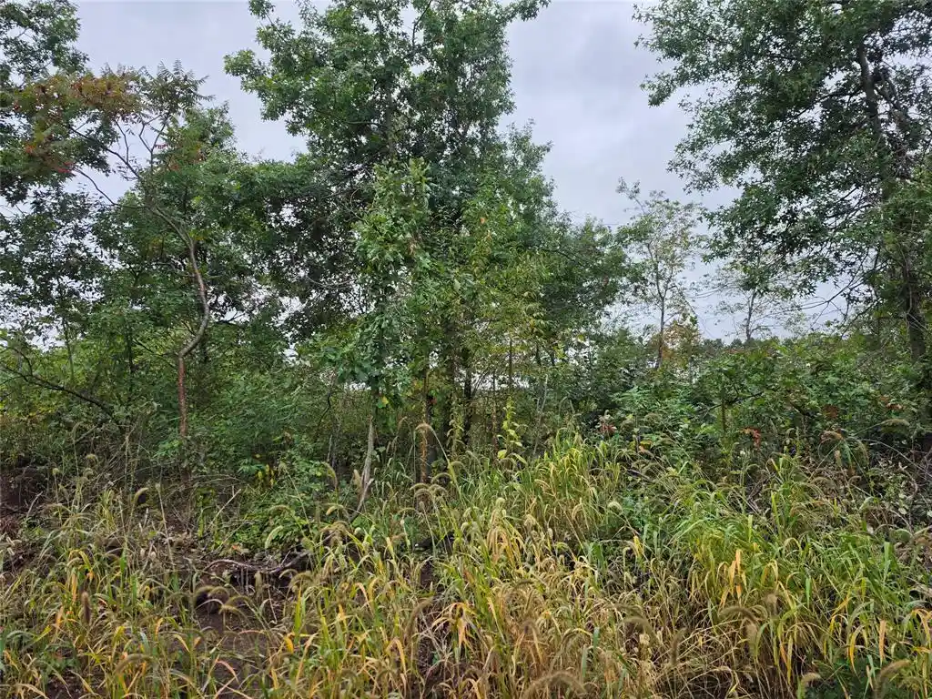 Photo 4 of Land for sale at Lot 6 370th Avenue, Elk Mound, WI 54739 | MLS# 1605278 | Listing updated on 2026-09-21
