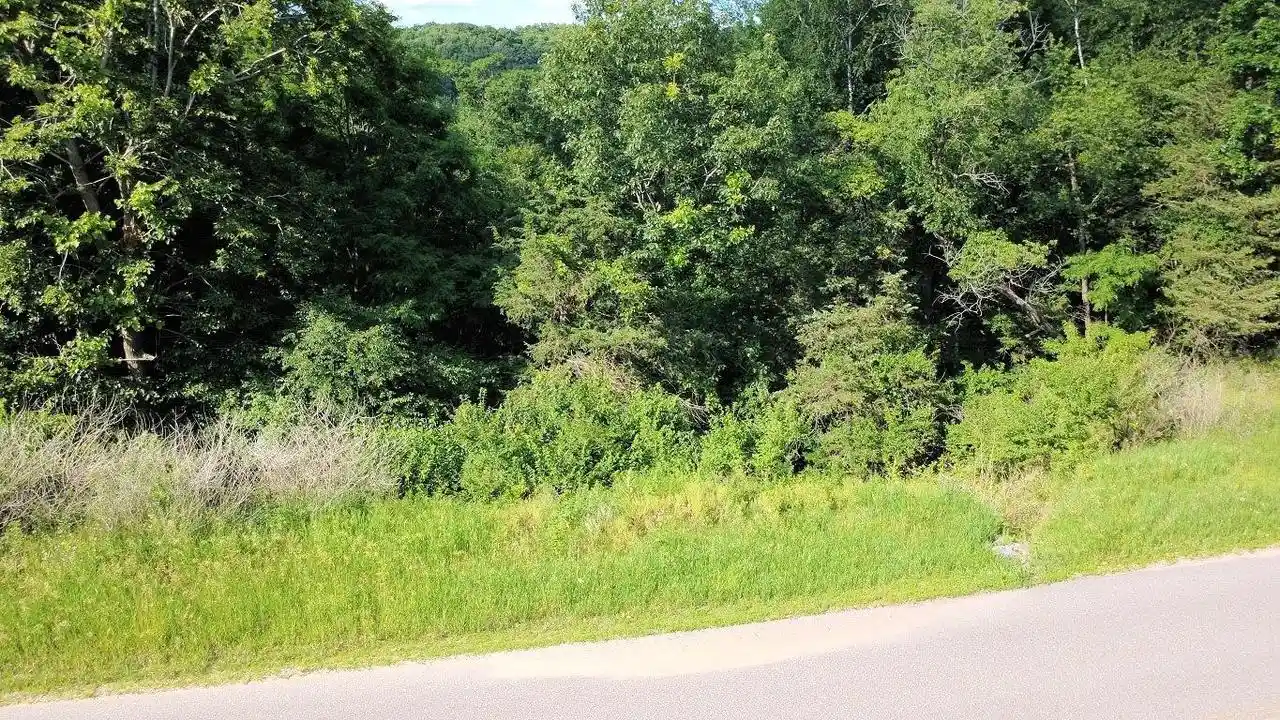 Photo 3 of Land for sale at L16 L18 Hillside Dr, Wisconsin Dells, WI 53965 | MLS# 2032983 | Listing updated on 2026-09-21