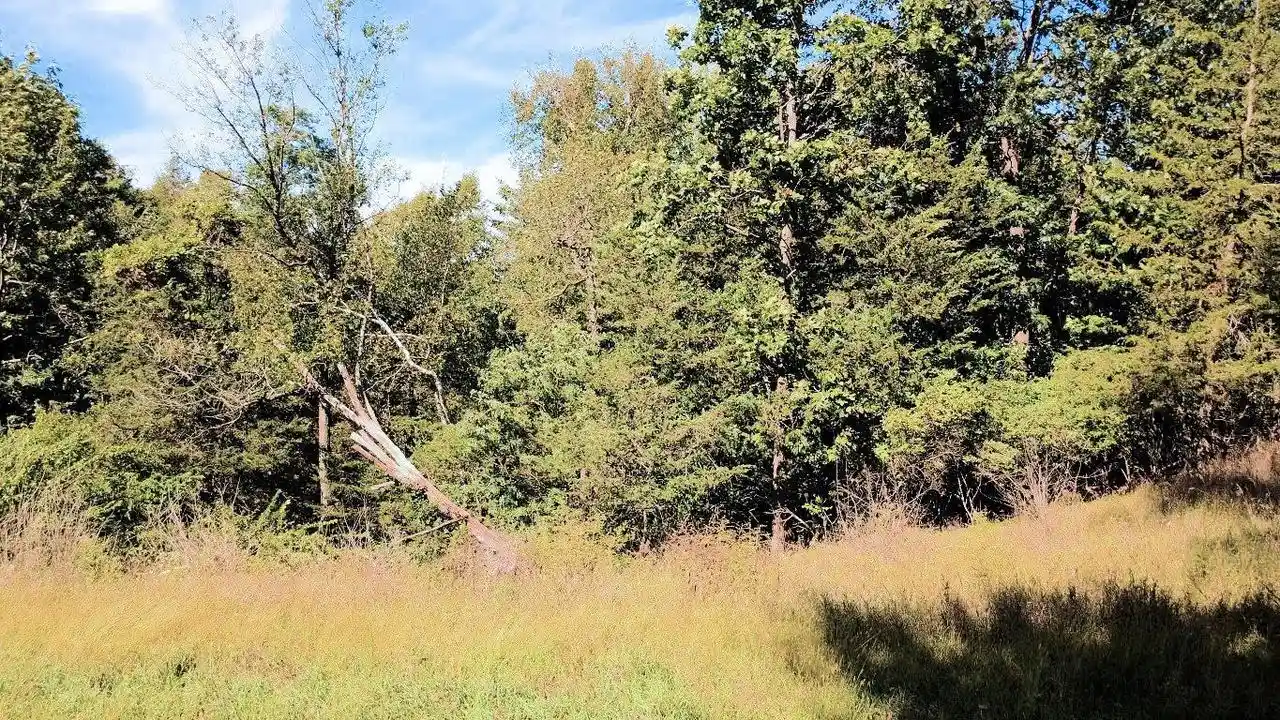 Photo 4 of Land for sale at L16-l18 Hillside Dr, Wisconsin Dells, WI 53965 | MLS# 2032983 | Listing updated on 2026-09-21