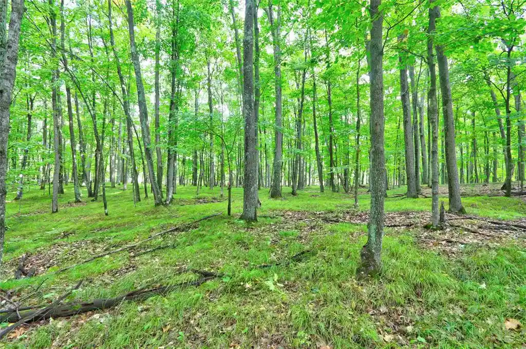 Photo 1 of Land for sale at 0 Twin Lake Rd, Hayward, WI 54843 | MLS# 1605254 | Listing updated on 2026-09-19