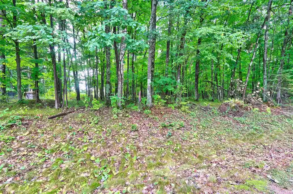Photo 2 of Land for sale at 0 Twin Lake Rd, Hayward, WI 54843 | MLS# 1605254 | Listing updated on 2026-09-19