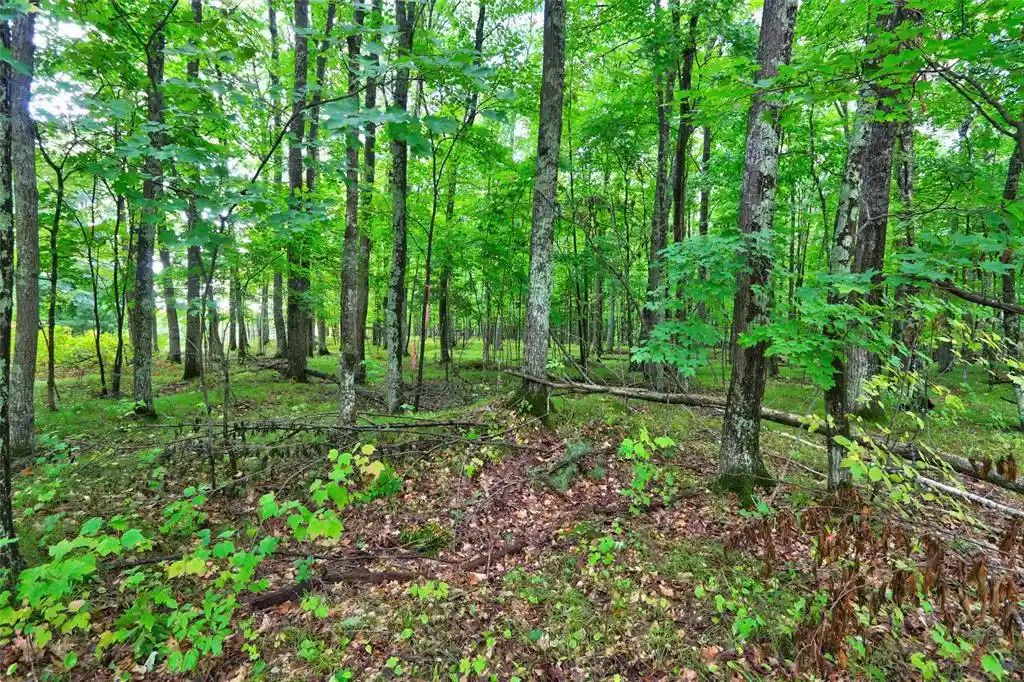 Photo 3 of Land for sale at 0 Twin Lake Rd, Hayward, WI 54843 | MLS# 1605254 | Listing updated on 2026-09-19