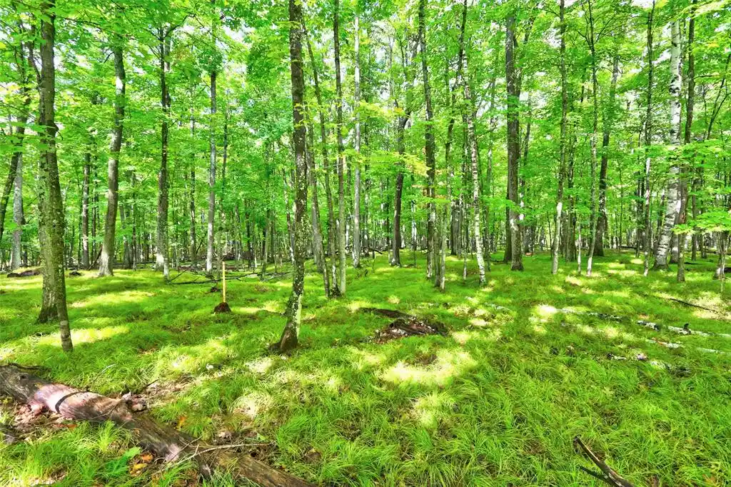 Photo 4 of Land for sale at 0 Twin Lake Rd, Hayward, WI 54843 | MLS# 1605254 | Listing updated on 2026-09-19