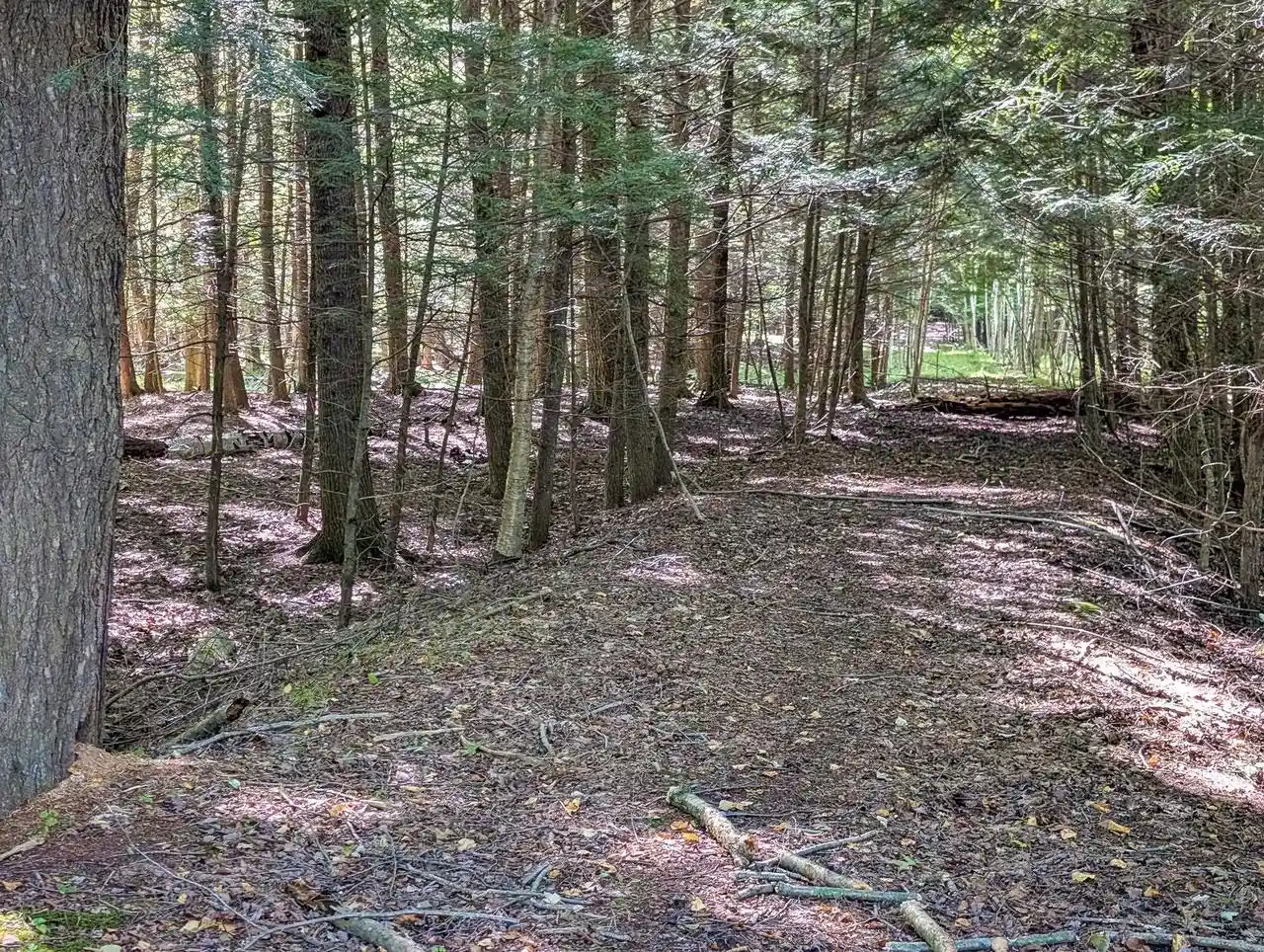 Photo 3 of Land for sale at 1115 W Cassidy Dr, Wausau, WI 54401 | MLS# 22604650 | Listing updated on 2026-09-18