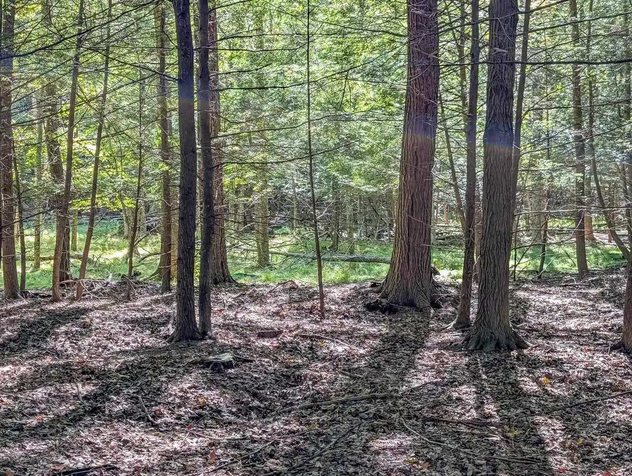 Photo 4 of Land for sale at 1115 W Cassidy Dr, Wausau, WI 54401 | MLS# 22604650 | Listing updated on 2026-09-18