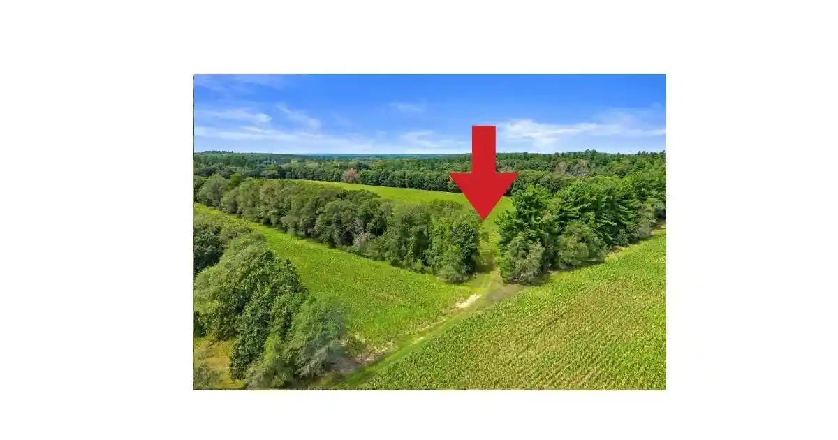Photo 4 of Land for sale at County Rd Yy, Wautoma, WI 54982 | MLS# 50332919 | Listing updated on 2026-09-21