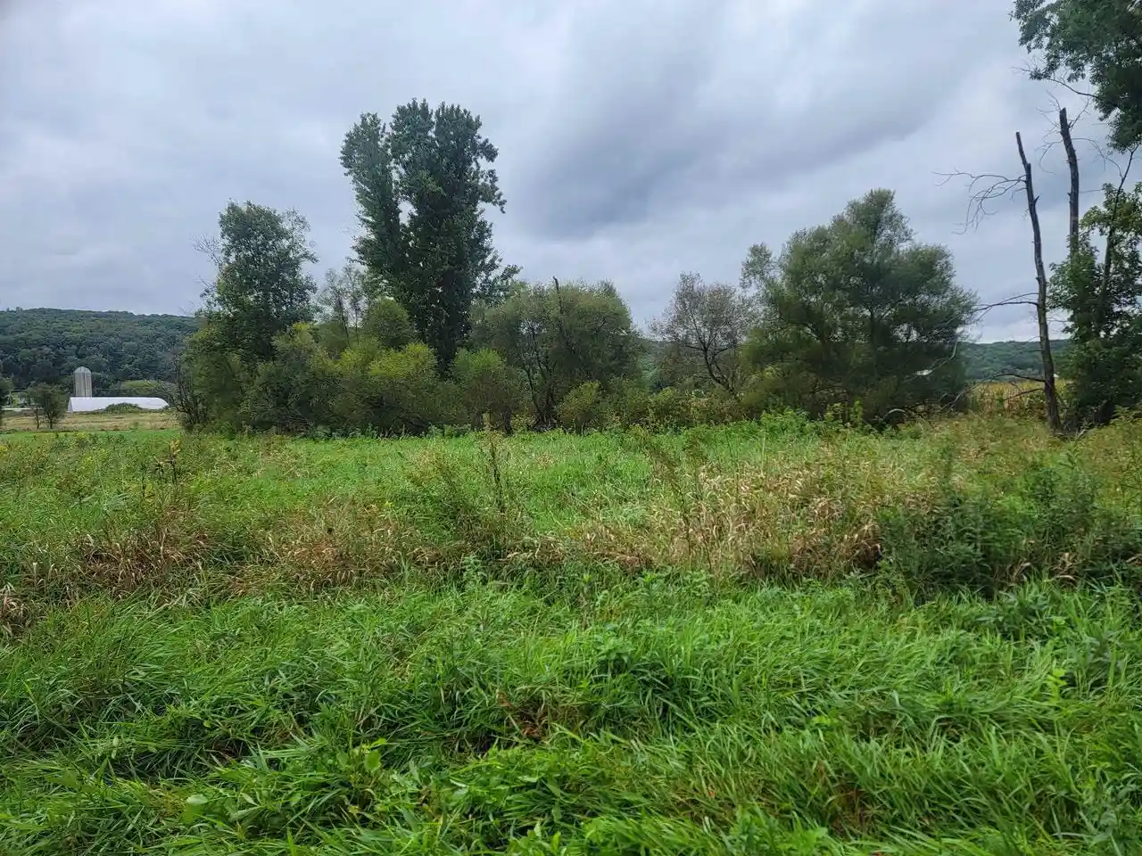Photo 2 of Land for sale at 0000 Greenfield Ln, Baraboo, WI 53913 | MLS# 2033050 | Listing updated on 2026-09-23