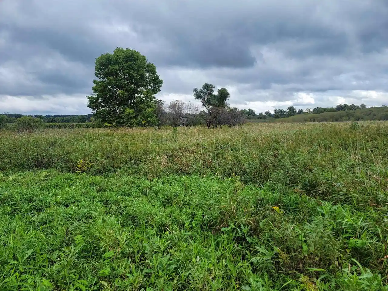 Photo 3 of Land for sale at 0000 Greenfield Ln, Baraboo, WI 53913 | MLS# 2033050 | Listing updated on 2026-09-23