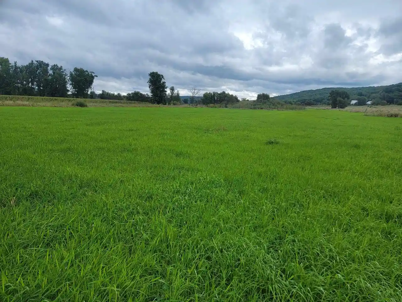 Photo 3 of Land for sale at 0000 Greenfield Ln, Baraboo, WI 53913 | MLS# 2033050 | Listing updated on 2026-09-23