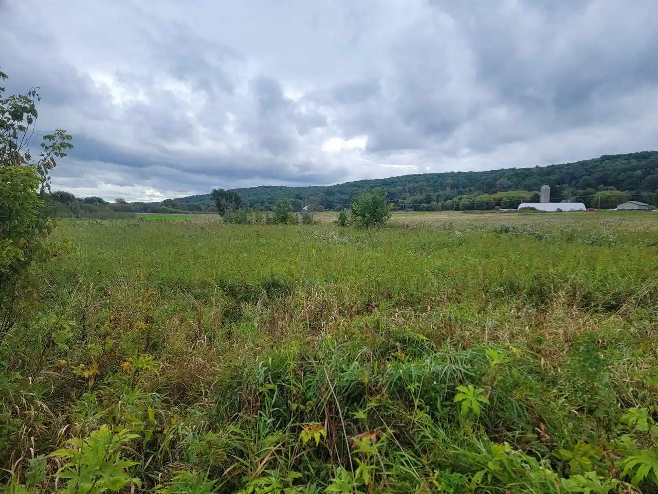 Photo 4 of Land for sale at 0000 Greenfield Ln, Baraboo, WI 53913 | MLS# 2033050 | Listing updated on 2026-09-23