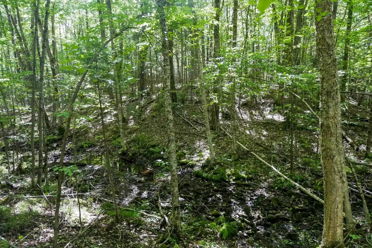 Photo 2 of Land for sale at 3434 Acres Brush Crk Rd, Medford, WI 54451 | MLS# 22604661 | Listing updated on 2026-09-25