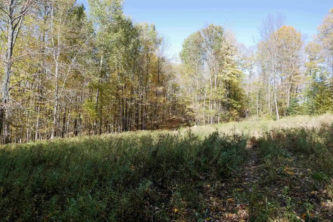 Photo 2 of Land for sale at 5555 Acres Brush Crk Rd, Medford, WI 54451 | MLS# 22604662 | Listing updated on 2026-10-08