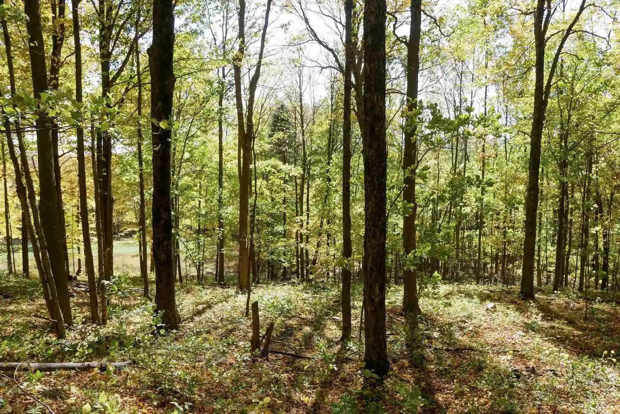 Photo 3 of Land for sale at 5555 Acres Brush Crk Rd, Medford, WI 54451 | MLS# 22604662 | Listing updated on 2026-10-08